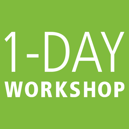 1-Day AI Workshops