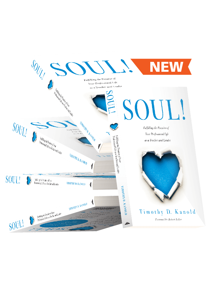new-soul-array-homepage-graphic